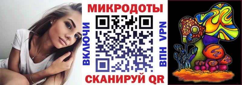 Галлюциногенные грибы Psilocybine cubensis Нытва